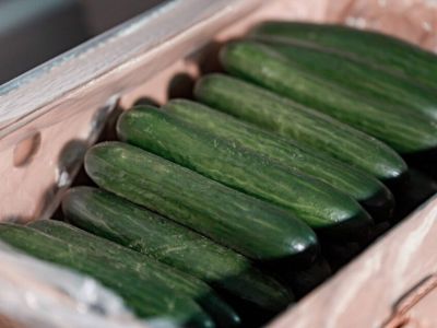 Продукты украли из цеха бортового питания в Якутске