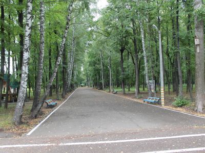 Родионовский институт благородных девиц