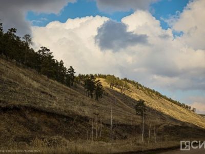 Три лесных пожара ликвидировали в Якутии за сутки
