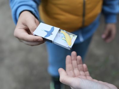 Вселенная в коробочке (6-10 лет)