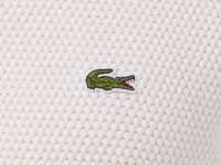 Мужской свитер Lacoste