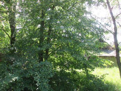 Родина Героя Советского Союза Ф.Ф. Титова, погибшего в 1945 г.