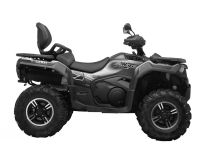 Квадроцикл LONCIN Xwolf 700 S (ПСМ)