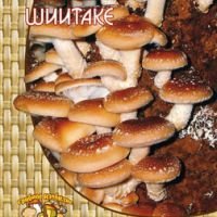 Шиитаке (12 шт.)