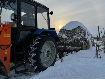 Хангаласский улус — один из лидеров по производству сельхозпродукции в Якутии