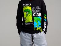 Фуфайка трикотажная для мальчиков (футболка с длинными рукавами)