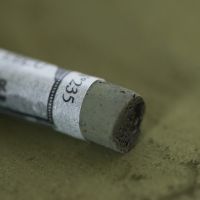 Пастель сухая Sennelier "A' L'ECU" оливковый