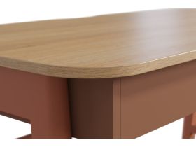 Письменный стол Бревор-2 120x60 Дуб Барбера/Терракотовый