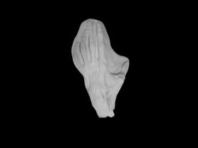 Гипс Кисть анатомическая