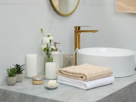 Суккулент Terni I