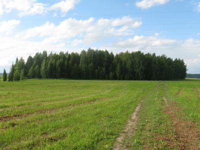 Священная роща