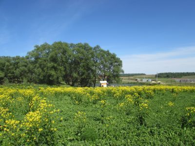 Парк с прудами