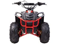 Квадроцикл RAPTOR Dux Lux 8