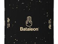 Сноуборд BATALEON BLOW 22/23