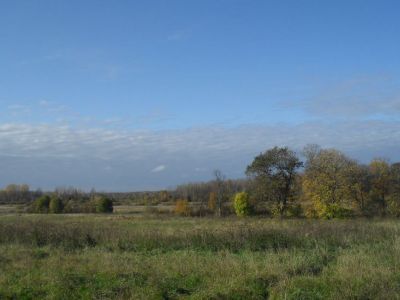 Усадьба. Парк