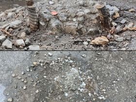 Жители Якутска помогают обезопасить улицы города через Платформу обратной связи