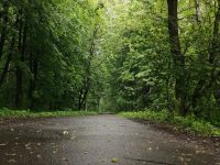 Парк «Авангард»