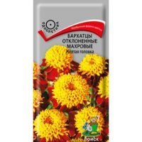 Бархатцы отклоненные махровые Жёлтая головка