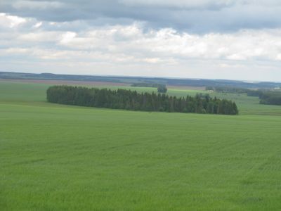 Священная роща