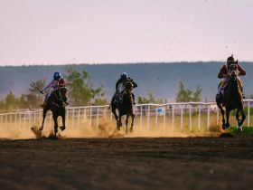 Победу на конных скачках на призы главы Якутии одержал скакун Атомик Бой