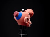 Бусина Абу, полимер