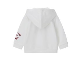 Толстовка на молнии для маленького мальчика