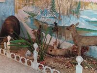 Залесовский краеведческий музей