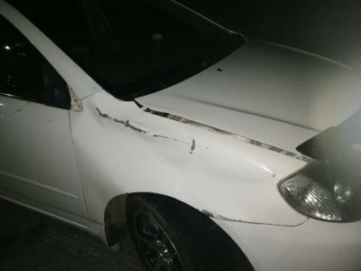 В Якутии водитель сбил женщину с собакой