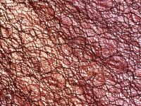 Кружевной лонгслив, Оранжевый