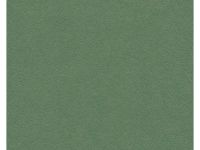 Папка для акварели Лилия Холдинг "Алисия" А3 10 л 200 г, 5 цв