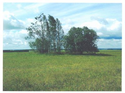 Священная роща