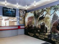 Кинотеатр «Стар Кинолюкс»