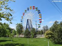 Парк культуры и отдыха города Сальска