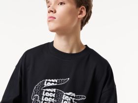 Мужская хлопковая футболка Lacoste