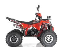 Квадроцикл WELS Thunder EVO X
