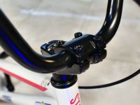 Экстремальный велосипед Stark Madness BMX Race, год 2024, цвет Серый-Красный, ростовка 9