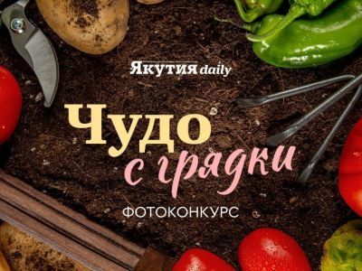 Пришлите фото «чуда» с грядки и получите приз