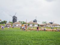 Концертная площадка «Фестивальное поле»