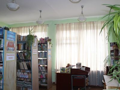 Новояушевская сельская библиотека