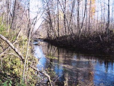 Речка Фабричная