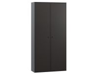 Распашной шкаф Сайрис 2-98x202 Черный