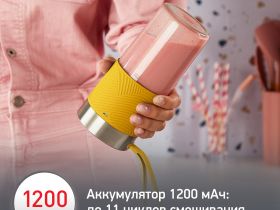 Портативный блендер Moulinex Lightmix LM1C0210