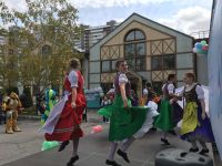 Новосибирский областной Российско-немецкий дом