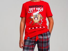 Комплект для мальчиков: фуфайка (футболка) трикотажная, шорты текстильные