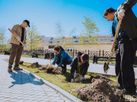 Коллектив Центра СПИД посадил деревья в мемориальном комплексе Якутска