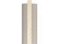 Портативная колонка Xiaomi Sound Outdoor (MDZ-38-DB) (Gold)