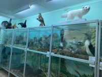 Краеведческий музей г. Покачи