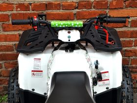 Квадроцикл MOWGLI Hardy 8M