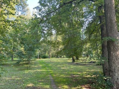 Усадебный парк помещиков Полозовых