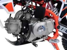 Питбайк REGULMOTO Pilot EA 12/10